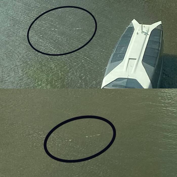 Милота из Москвы