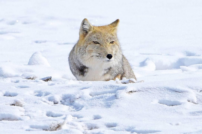  ,        . , ,     .