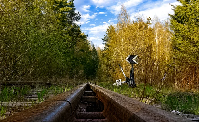 Arrow in a deep forest - My, The photo, Canon, Middle Ural, Landscape, Railway, Rails, Abandoned, Perspective, Nature, Forest, Summer, Beginning photographer