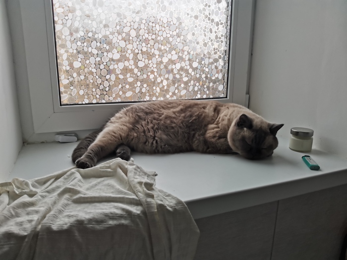   , ,  , , ,   , , ,  , 