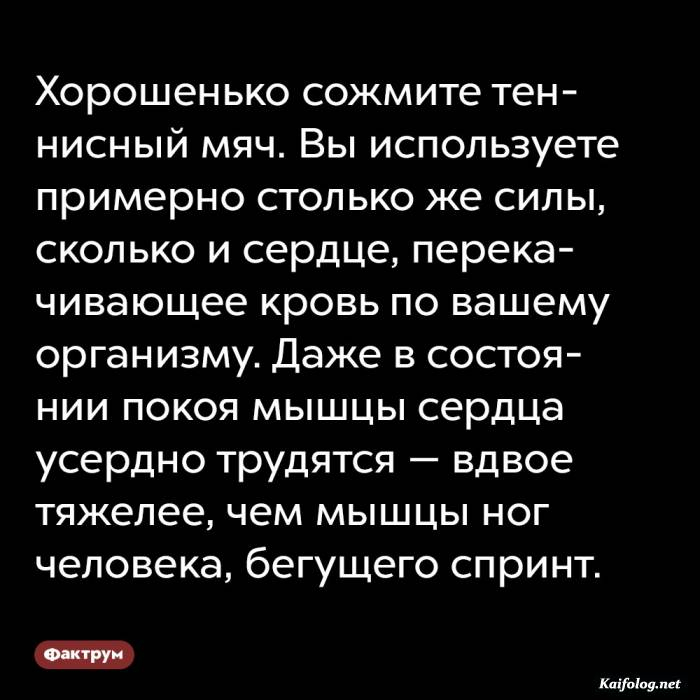 Интересные и удивительные факты обо всем                                           (90-я очередная подборка) - Факты, Познавательно, Длиннопост