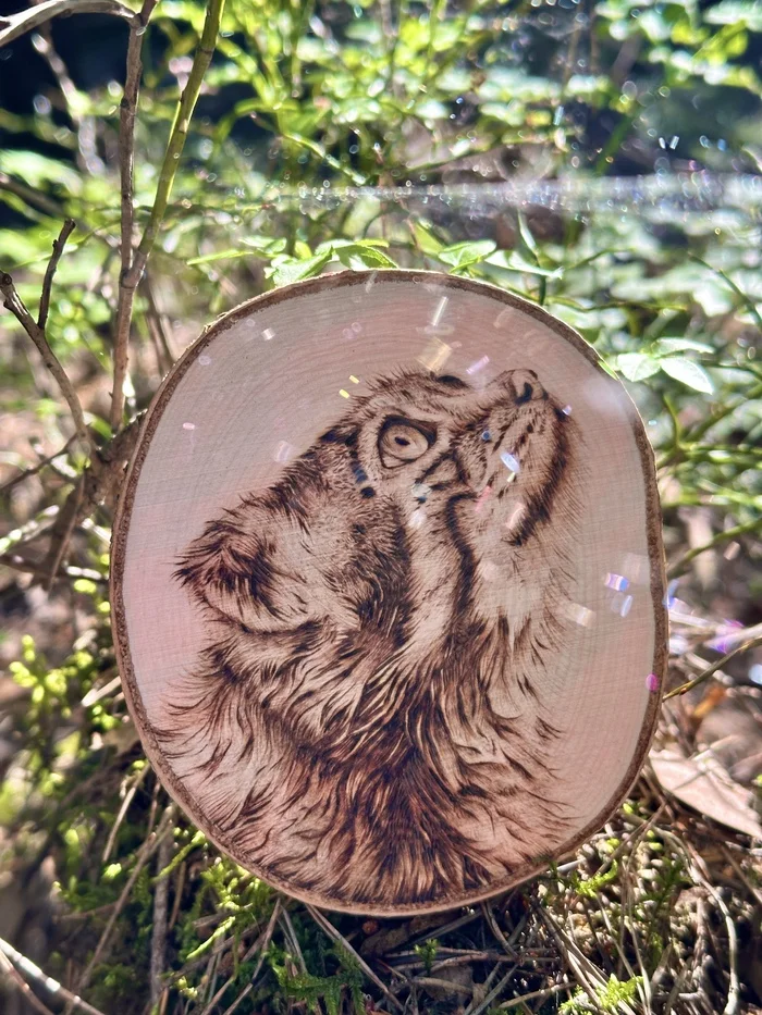 Pallas's cat, wood burning - My, Handmade, Pyrography, Scorcher, Woodworking, Art, Pallas' cat, Needlework without process