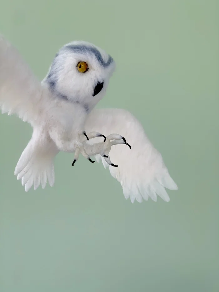 Owl made of wool Dry felting of birds - My, Birds, Animals, Funny animals, Owl, Owl, Ornithology, Dry felting, Humor, Video, Youtube, Longpost, Needlework without process