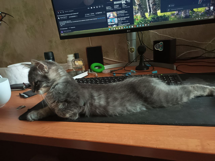 ,   , ,  , ,  , , ,  ,  , 
