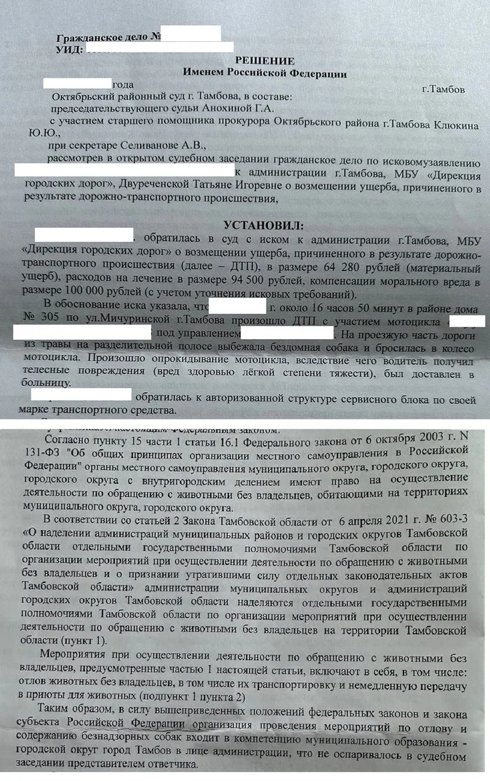 Возмещение ущерба после ДТП с бездомной собакой - ДТП, Суд, Бездомные животные, Нападение собак, Происшествие, Возмещение ущерба, Длиннопост, Негатив