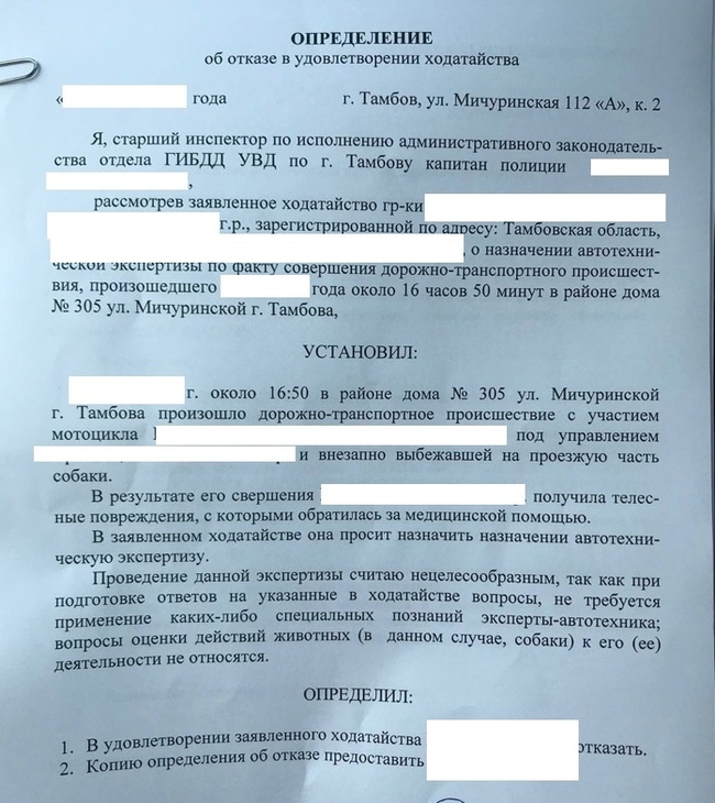 Возмещение ущерба после ДТП с бездомной собакой - ДТП, Суд, Бездомные животные, Нападение собак, Происшествие, Возмещение ущерба, Длиннопост, Негатив