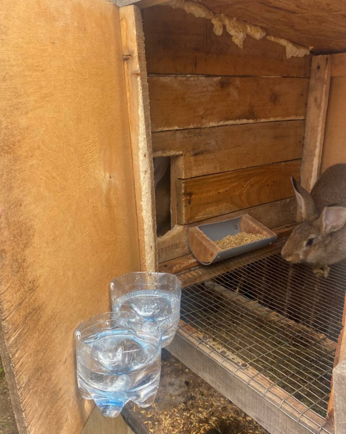 ������ ������ ������ �� ����������� �������