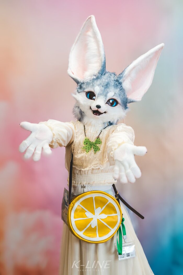 Sabon , , Furry fennec, Furry Fox, Furry Canine, , , ,  