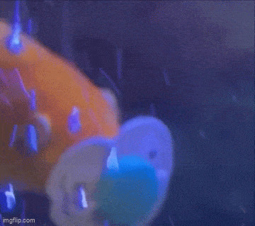  -   , , , 