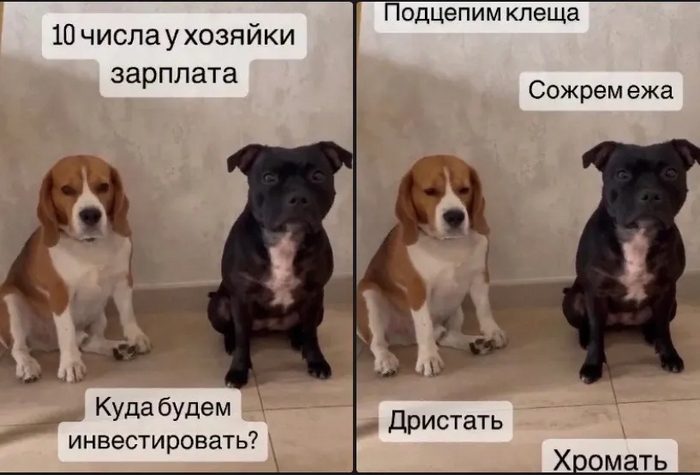 � ������� � ��� ������ �� ��������?