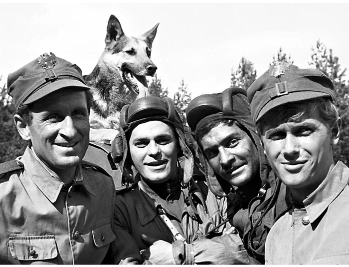 4th of July - July, The photo, Four tankers and a dog