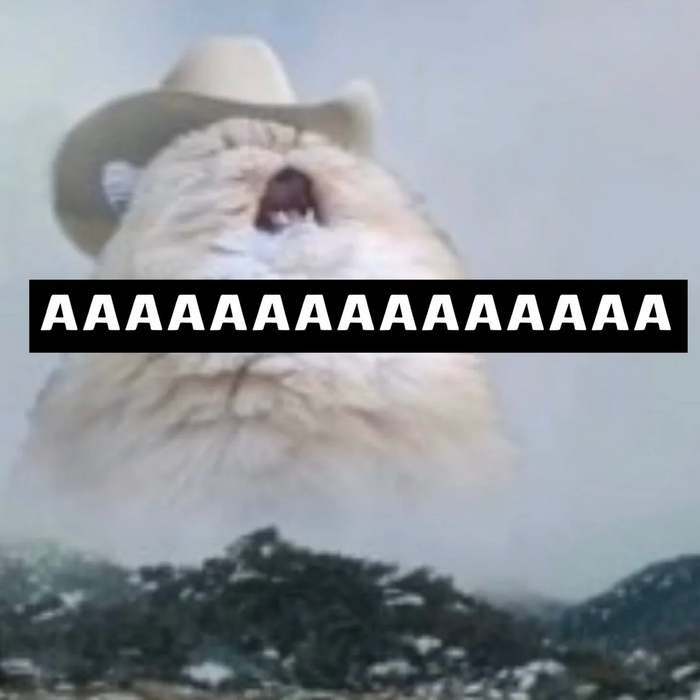 Моя реакция при обнаружении 12-го Айдахо