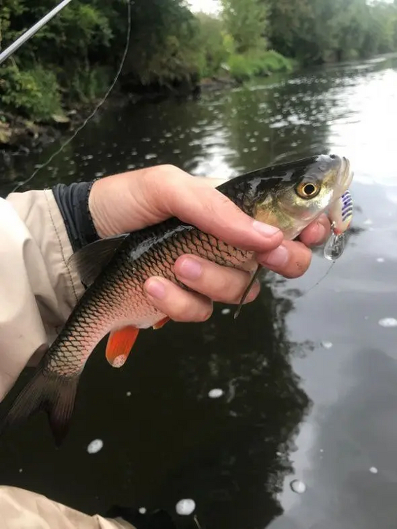 Poetic report. Yeah - My, Fishing, A boat, Longpost