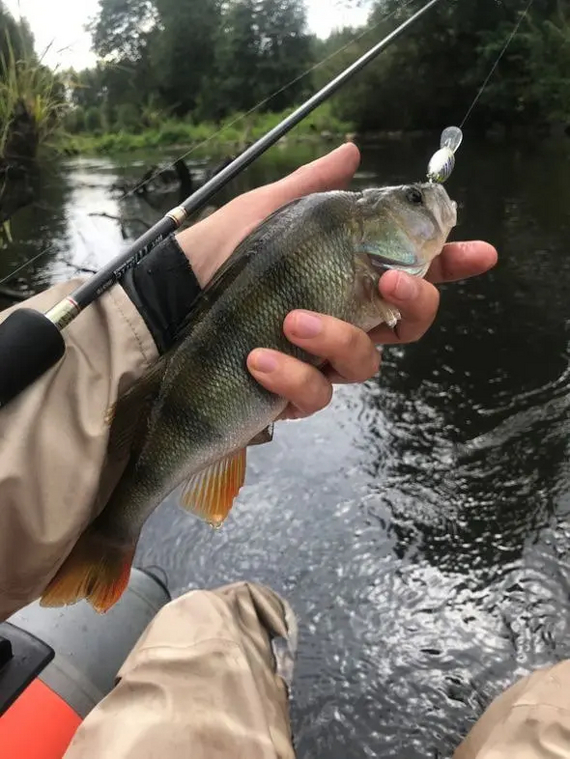 Poetic report. Yeah - My, Fishing, A boat, Longpost