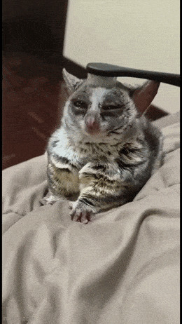       , , , 