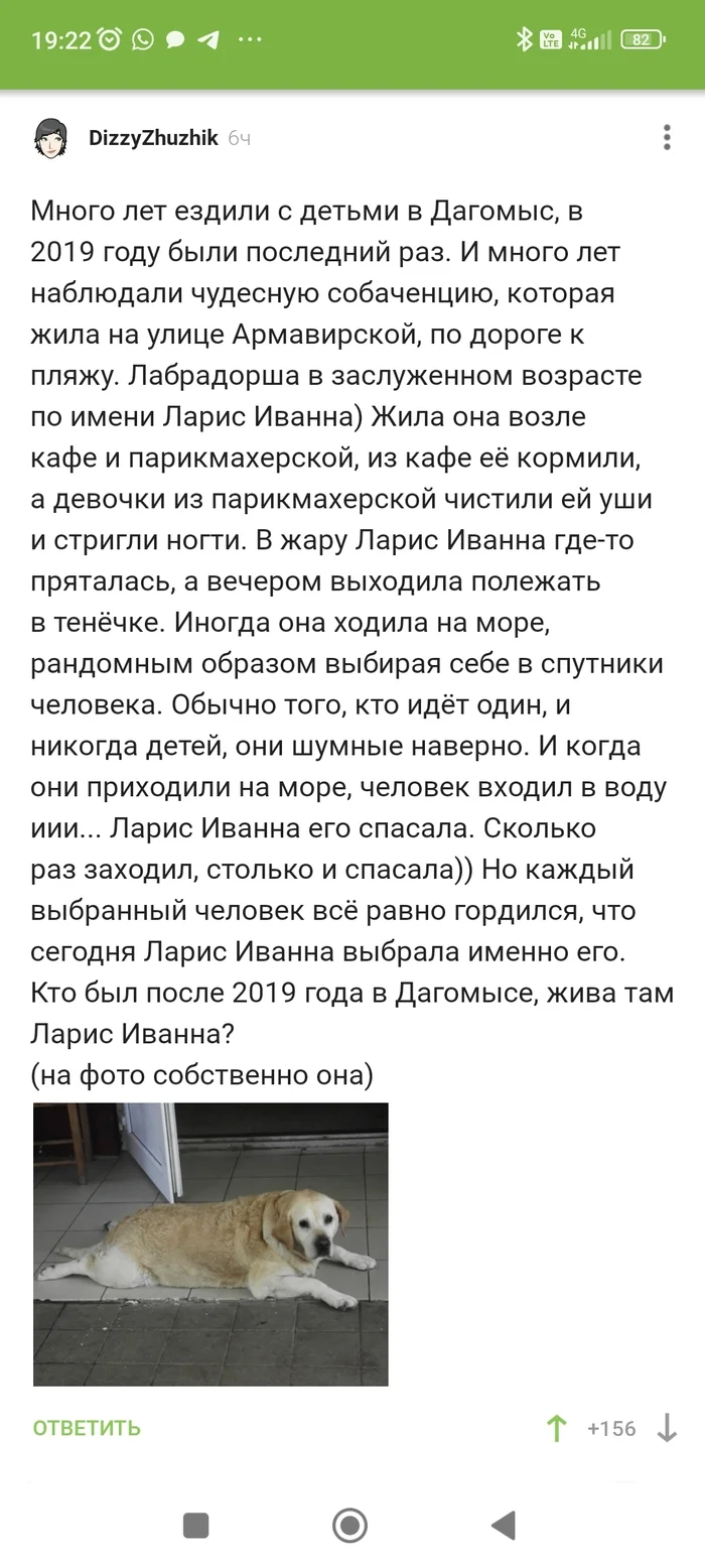 Reply to the post “Vasya can” - Screenshot, Picture with text, Dog, Bathing, Comments on Peekaboo, Reply to post, Longpost, The rescue, Humor