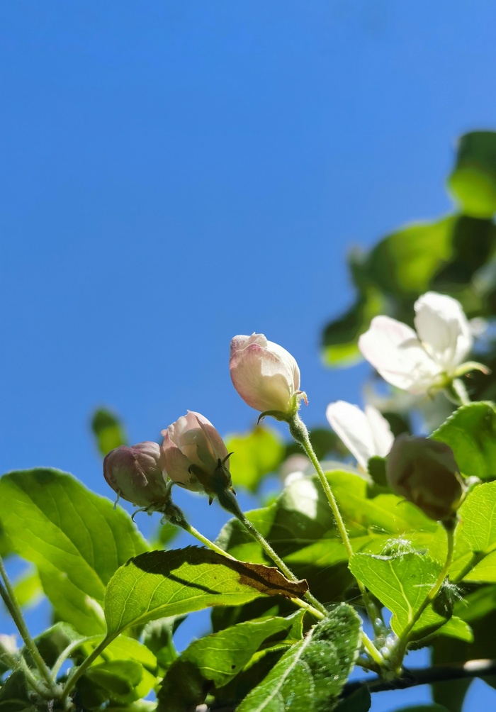 А вы любите Хаяо Миядзаки... Пятничный тег моё, Дракон, Ручная работа, Рукоделие без процесса, Длиннопост, Фотография, Вертикальное видео, Видео, Бисер, Бисероплетение, Творчество, Без звука