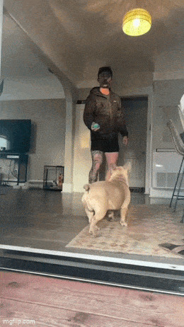   , , , 