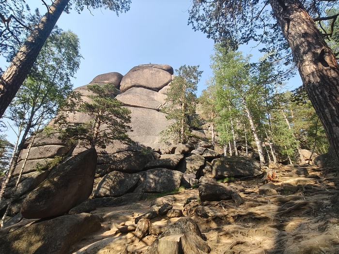 ���� �� �������