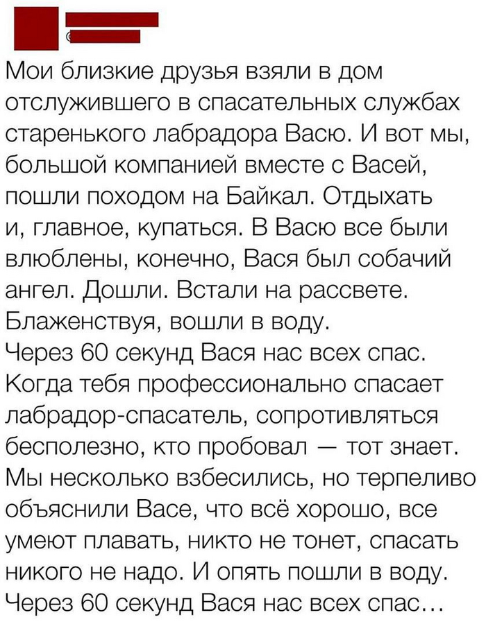   , , , , Telegram (), , 