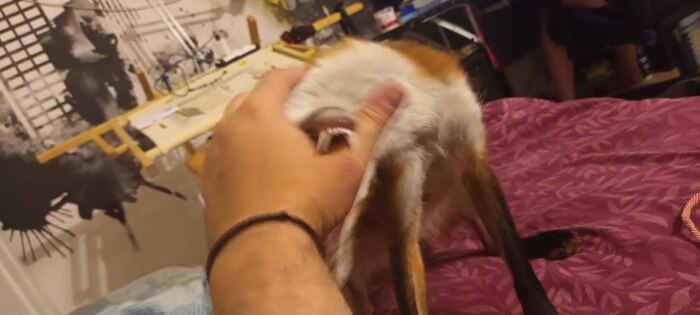 ���� ����!