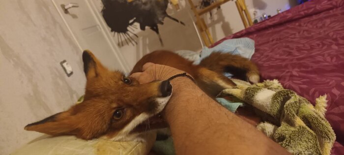 �� ����� ����!