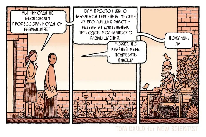 Мыслитель - Комиксы, Перевод, Tom gauld, Перевел сам, Профессор