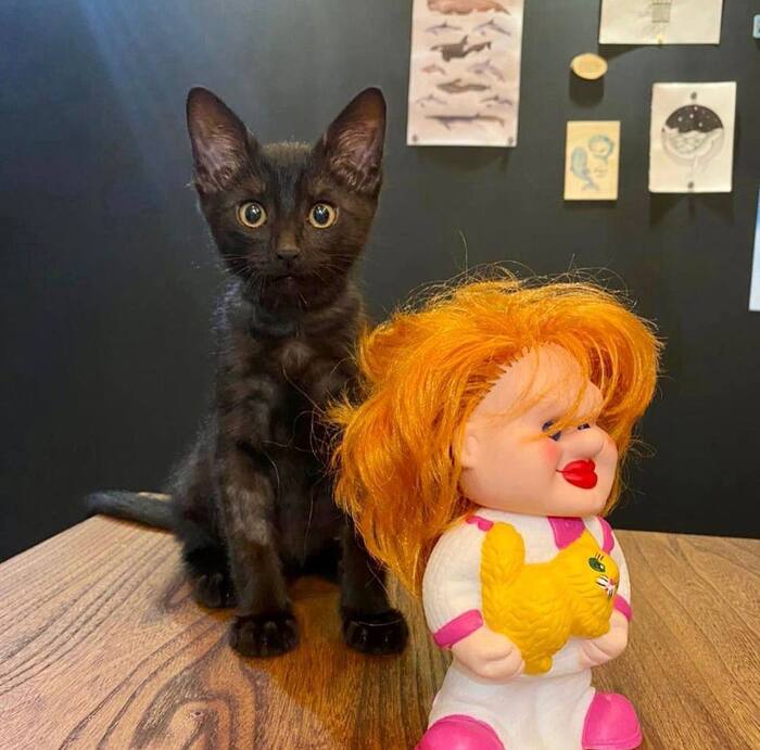 ������, ������� ���� �����, � ������ ���� ��������