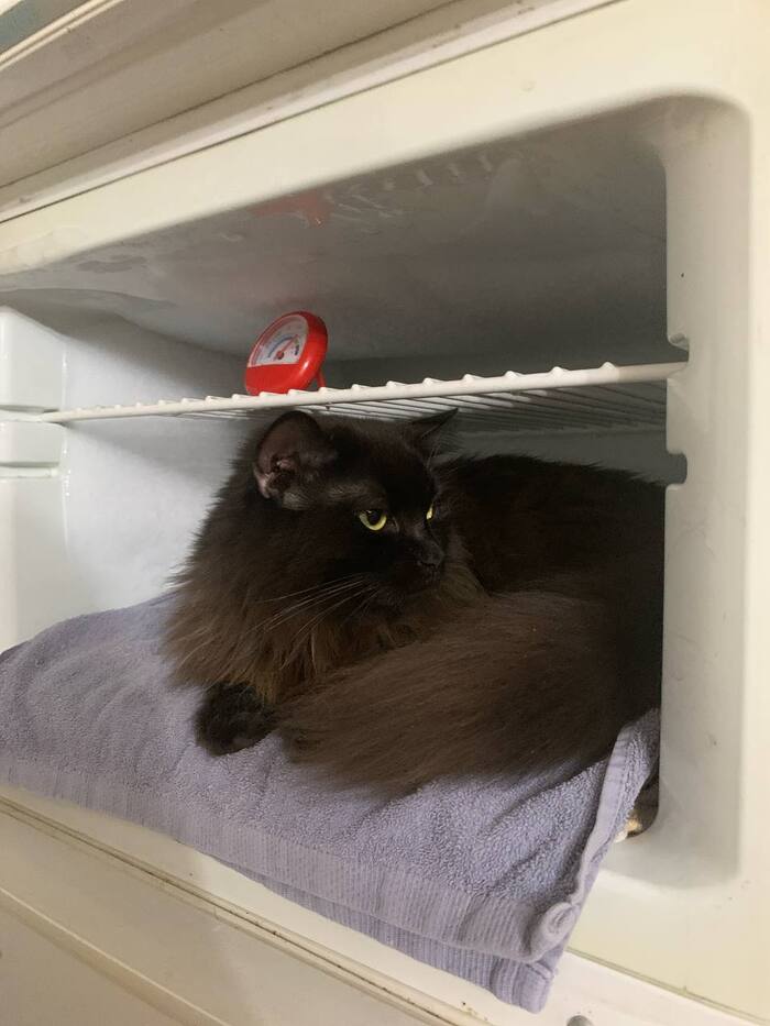 Тоже туда хочу