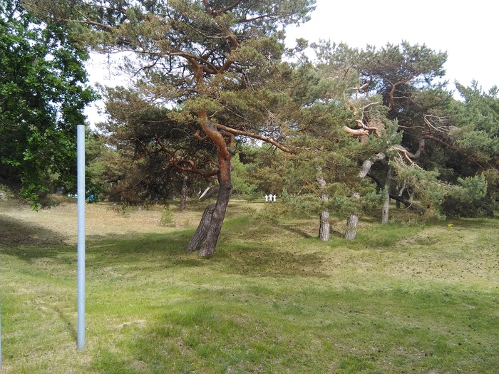 Достаточно далеко спрятаны немецкие захоронения