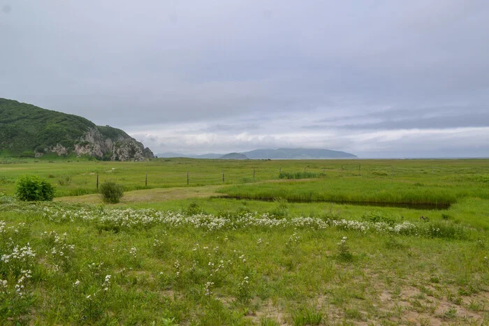 Edge of three borders - My, Hasan, Recreation center, Primorsky Krai, Nature, Travel across Russia, Longpost