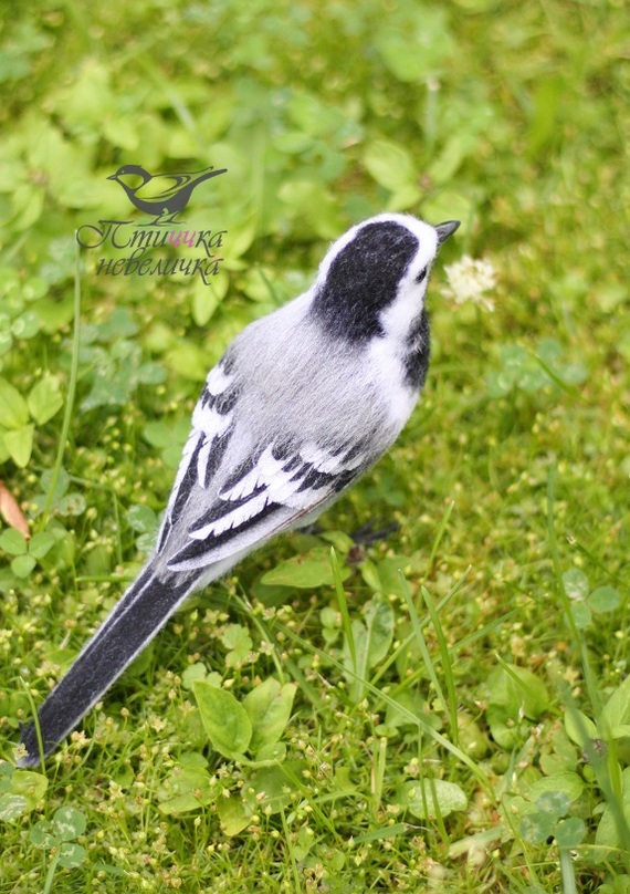 Felted a wagtail - My, Dry felting, Wallow, Needlework, Needlework without process, With your own hands, Master, Hobby, Creation, Handmade, Birds, Author's toy, Longpost