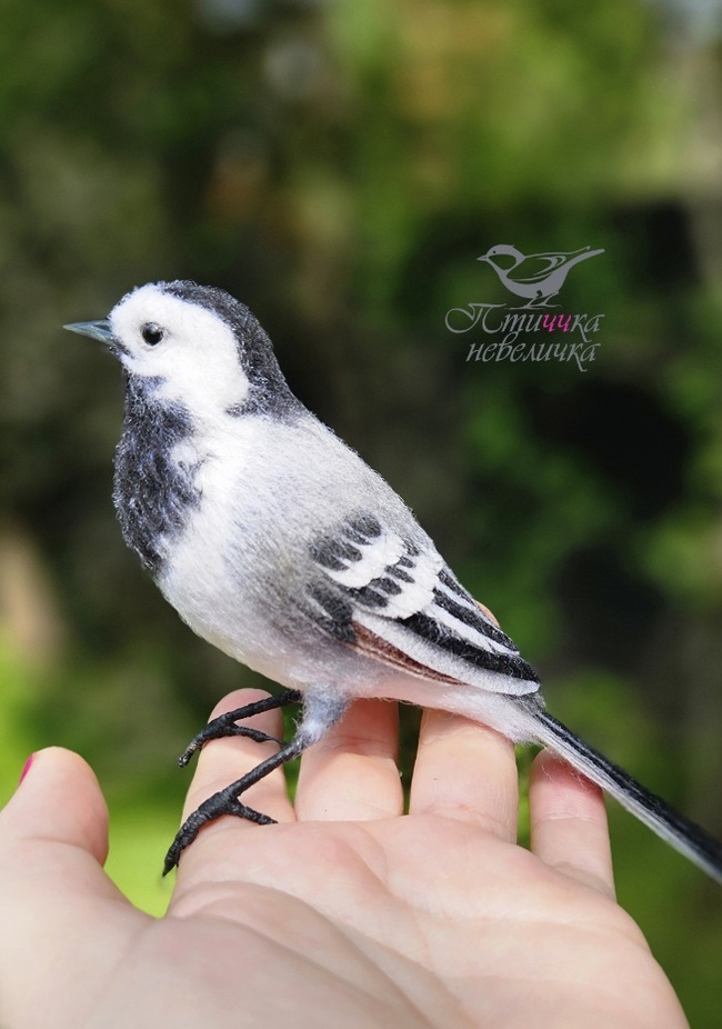 Felted a wagtail - My, Dry felting, Wallow, Needlework, Needlework without process, With your own hands, Master, Hobby, Creation, Handmade, Birds, Author's toy, Longpost