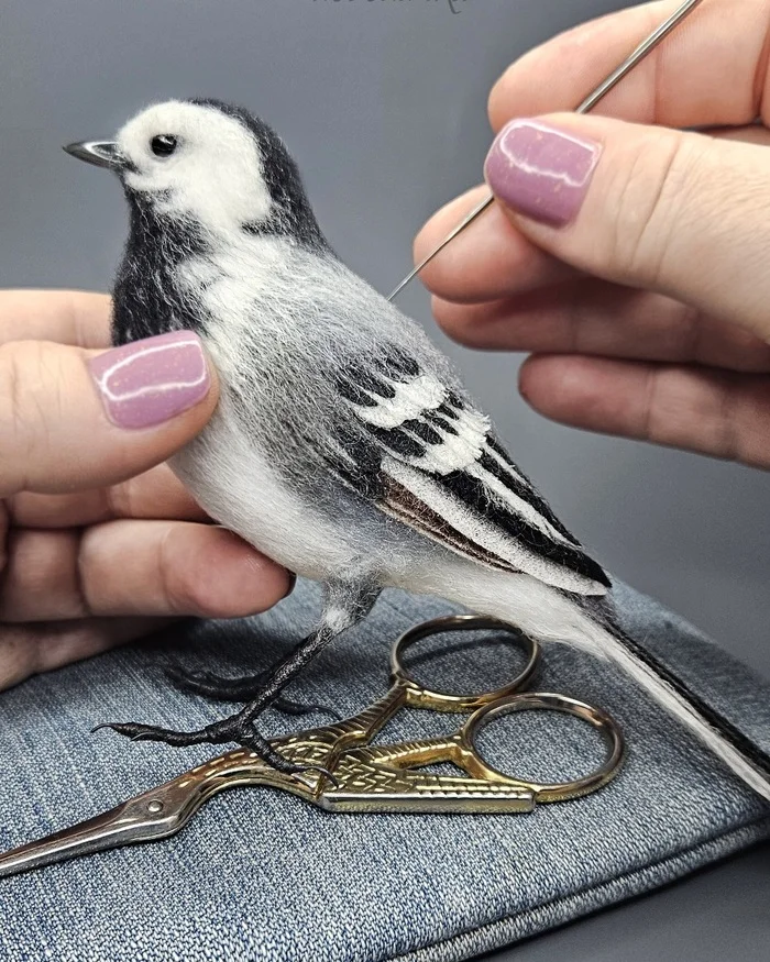 Felted a wagtail - My, Dry felting, Wallow, Needlework, Needlework without process, With your own hands, Master, Hobby, Creation, Handmade, Birds, Author's toy, Longpost