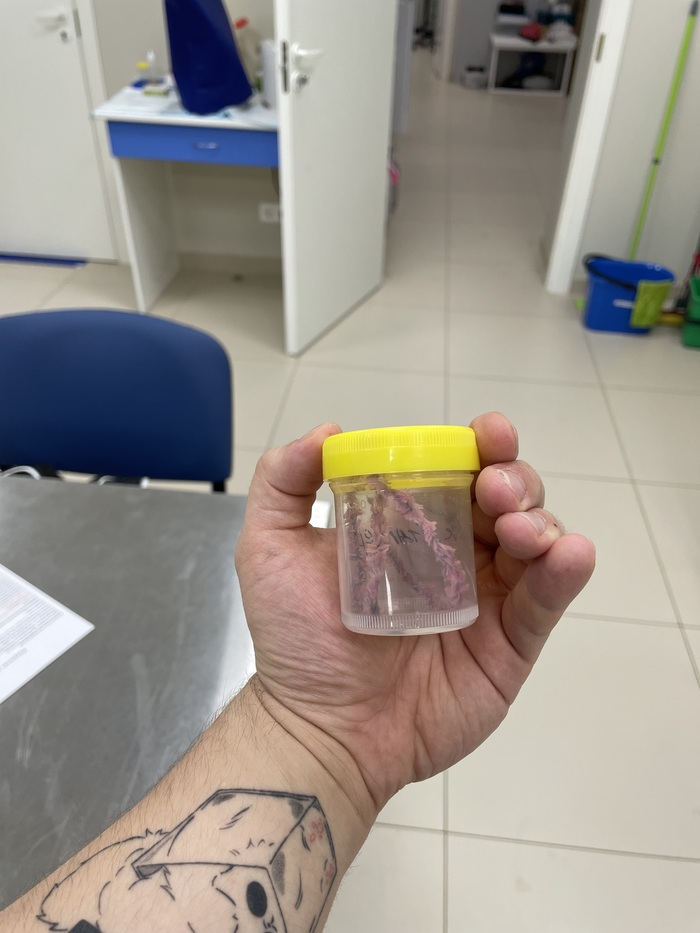 "Мой кот не идиот" Кот, Ветеринария, Инородное тело, Длиннопост