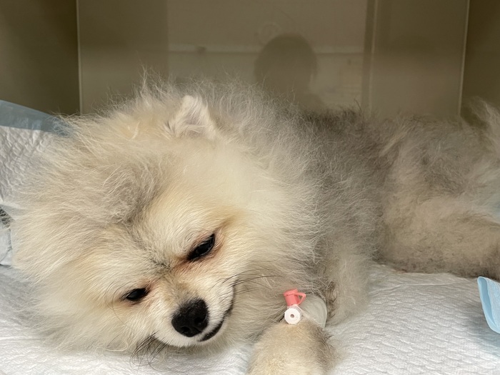 ��� ��������� ������� - ���� ������� ��� ����� ��������, �������� ����, ����� ��������� �����.