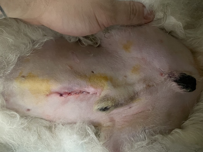 � � ����� ��� ��� - �� ������ � ����� � ��������. �� ���� ��� ��� ��������. 