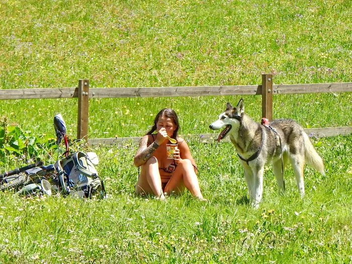 Summer - My, The photo, Travels, Tourism, Summer, A bike, Friend, Girl with tattoo, Dog, Switzerland, Zermatt, Camping