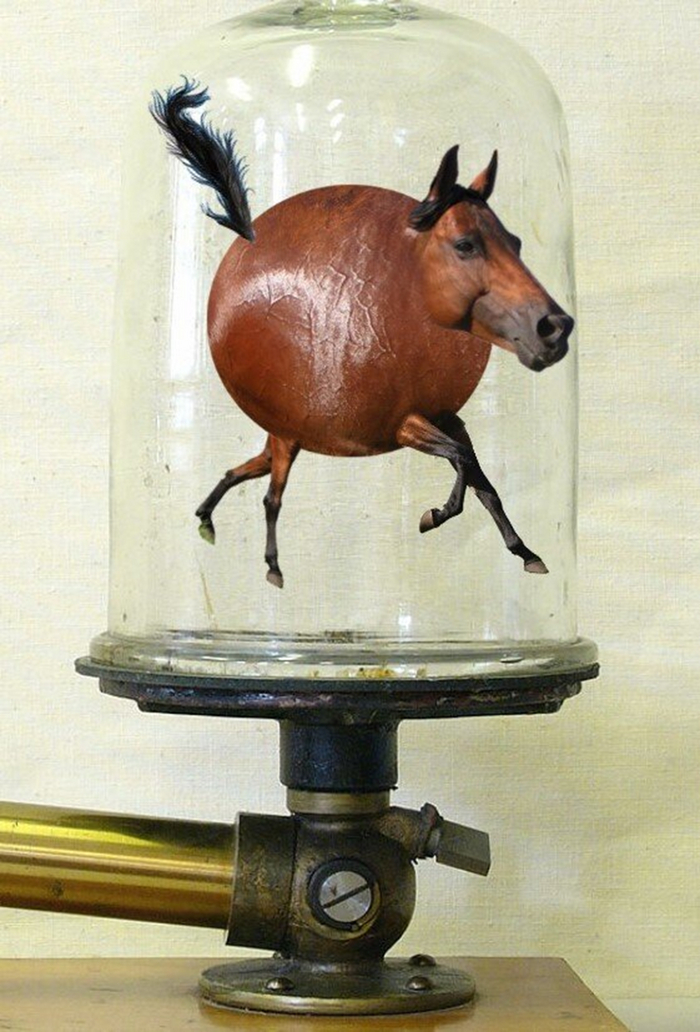 Идеальный пациент