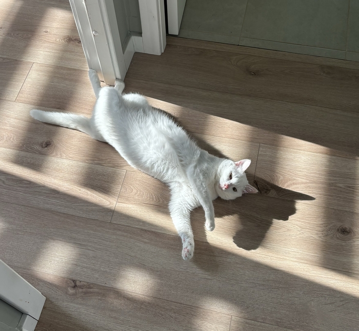 Одна нога здесь, другая там