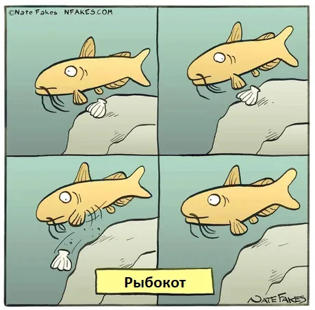 Fishcat - Humor, Comics, Nate Fakes, A fish