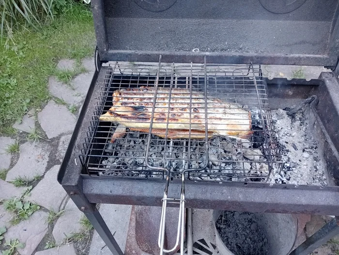 Шампиньоны и Нерка на мангале - Моё, Кулинария, Грибы, Шампиньоны, Дача, Мангал, Мобильная фотография, Фото на тапок, Мужская кулинария, Шашлык, Длиннопост