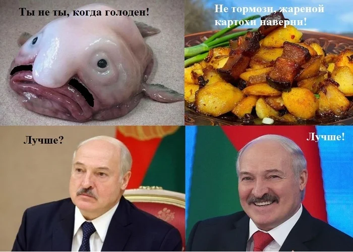 You are not yourself when you're hungry! - My, Alexander Lukashenko, Drop fish, Roast potatoes, Hunger, Well-fed, Picture with text