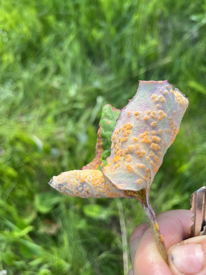 ��������.