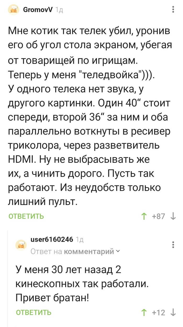 Кошка ищет дом: истории из жизни, советы, новости, юмор и картинки — Все  посты | Пикабу