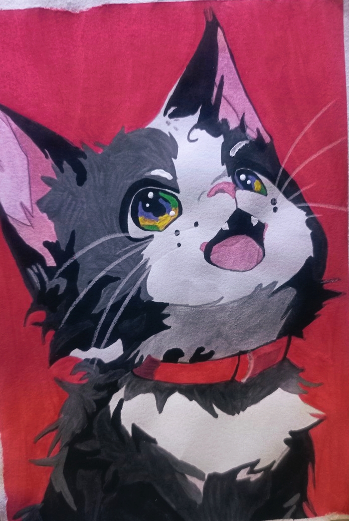  :3 ,  , , ,  , 