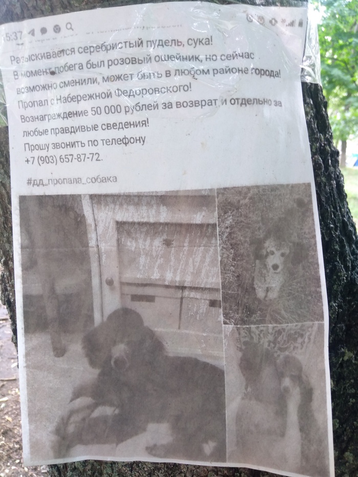    #  ,  , ,  