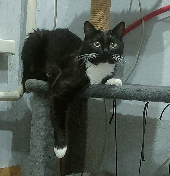 ����� � �����