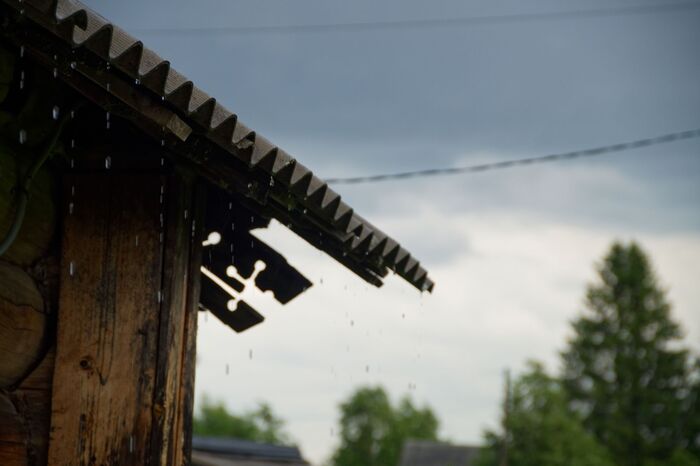 ������ �����.