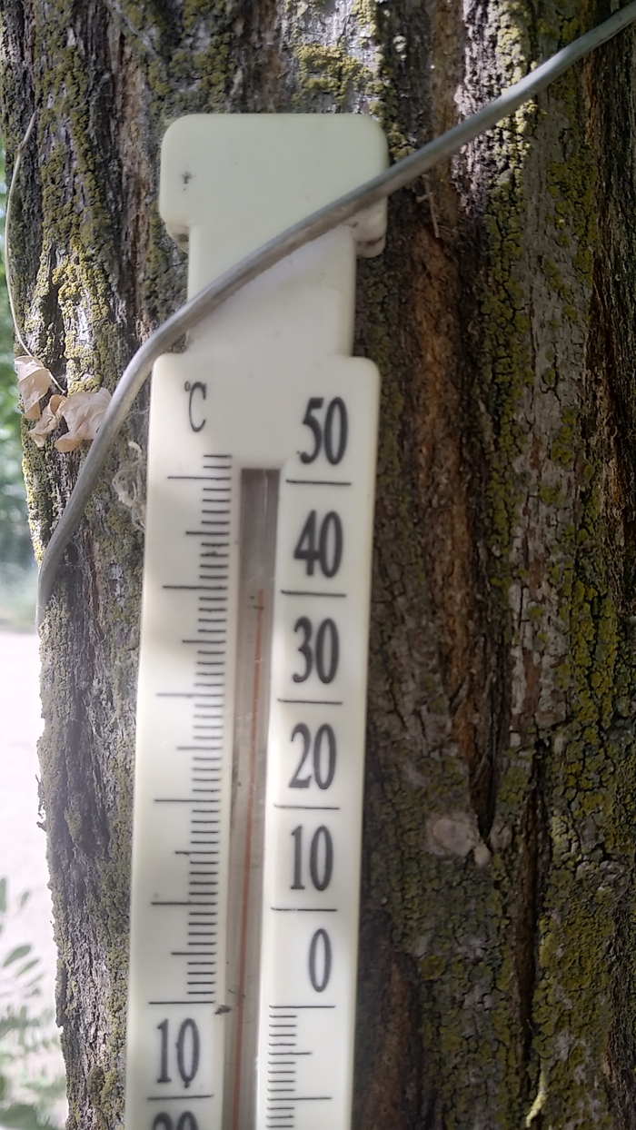 ��������� �������